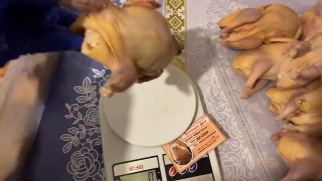 Мясо перепела, вес тушки петуха смотреть онлайн