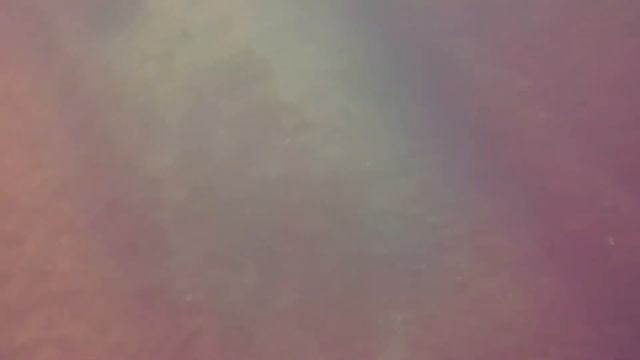 Lake Michigan shipwreck SCUBA diving, 10/14/2018 #11 смотреть онлайн