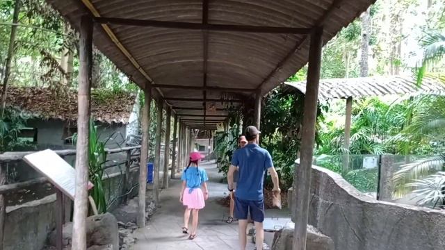 Chiang Mai Zoo in Thailand [So Many Reptiles! Feed Hippos!?!] смотреть онлайн