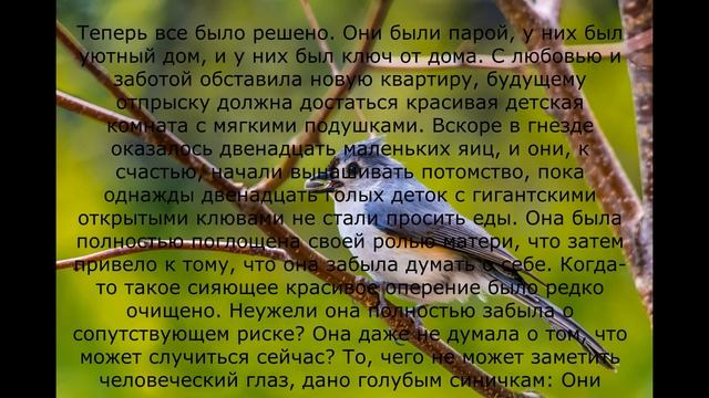 Реальные истории | Угасшая страсть смотреть онлайн
