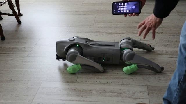 Unitree Go2 Gets A Firmware Update