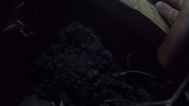 РЫБАЛКА С НОЧЁВКОЙ НА ХИЩНИКА!!! смотреть онлайн