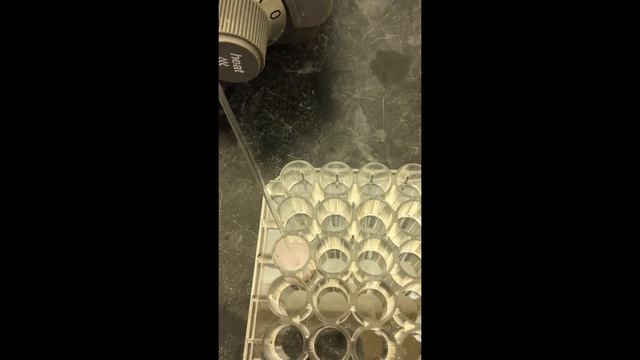 CoCl2 + H2o + HCl +AgNo3 смотреть онлайн