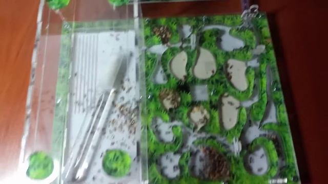 колония муравьев переселена. смотреть онлайн