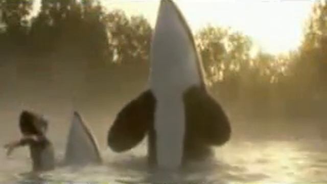 Orca Music Video For xSoppinsx ~ H 6 a p p y B i r t h d a y смотреть онлайн