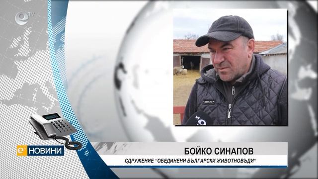 Животновъди призовават да се купува агнешко директно от фермите смотреть онлайн