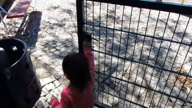 Дневная прогулка. Овощное рагу. Общаемся смотреть онлайн