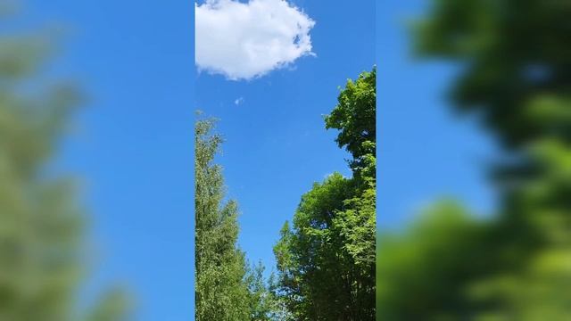 Esperansa Танцуй как звезда.mp4 смотреть онлайн