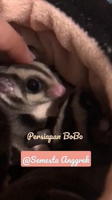 16 Desember 2022 смотреть онлайн