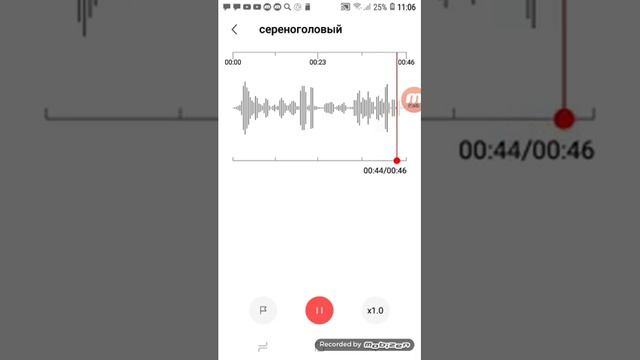 дима..............6+4= смотреть онлайн