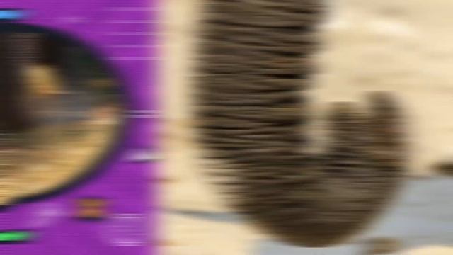 Elephant facts = Elefacts! Part 1 смотреть онлайн