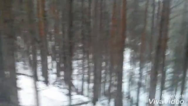 Тренировка с Грозой #1 смотреть онлайн