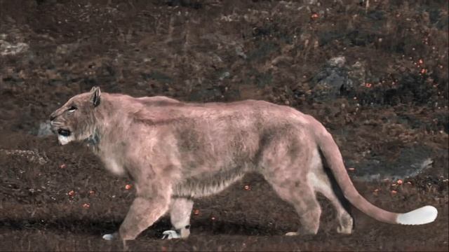 Steppe Lion(Panthera Spelaea Fossilis) Vocalizations Part 4