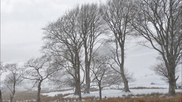 snow on the farm 2018 ayrshire scotland's russian snow storm смотреть онлайн