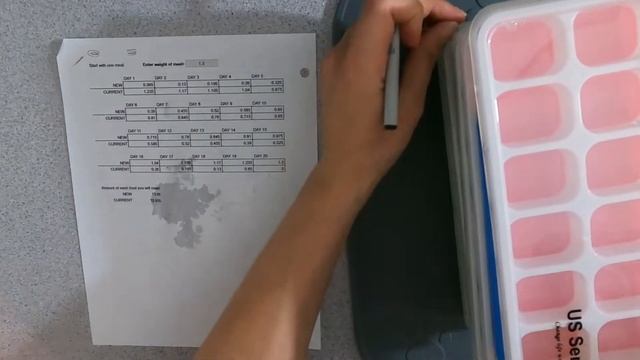 A day in the life of a raw feeder смотреть онлайн