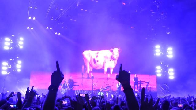 Depeche Mode - Enjoy the silence (Hanns-Martin-Schleyer-Halle Stuttgart, 28.11.17) HD смотреть онлайн