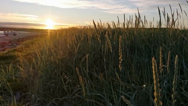 Вечер в лагере на Среднем смотреть онлайн