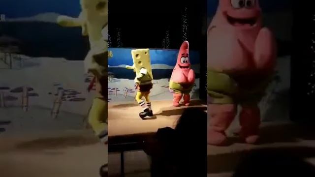 Meeting Sponge Bob @ City walk Dubai смотреть онлайн