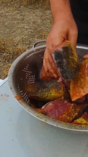 ШАШЛЫК ИЗ РЫБЫ САЗАНА на КОСТРЕ, смотреть онлайн