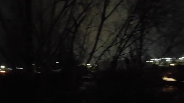 уже месяц птицы кричат всю ночь смотреть онлайн