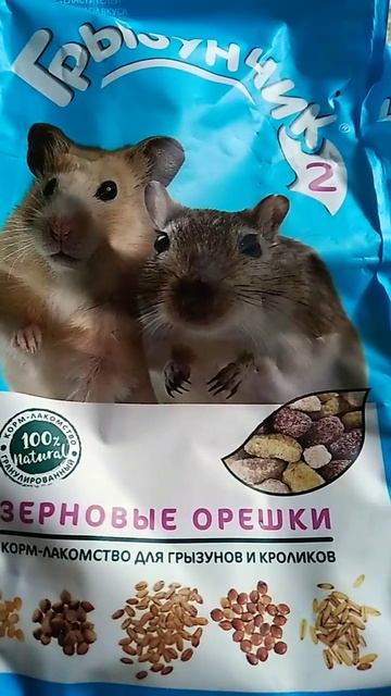 грызунчик 2 зерновые орешки корм лакомство для грызунов и кроликов#орехи#морскиесвинки#арахис#фунду смотреть онлайн
