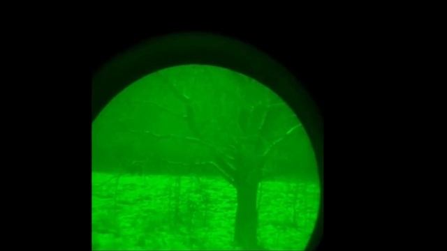 Подкрался ночью к кабанам. смотреть онлайн