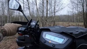 Весенняя охота на Вальдшнепа.