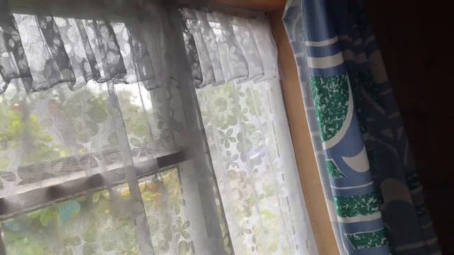 Купили дачу, Чарлушку запустили вместо кота. смотреть онлайн