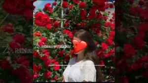 новая цыганские песни 🥀✌️🎶🎭💣