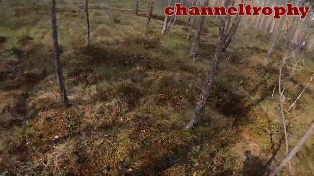 Братина-трофи. Лето 2019. День 1. смотреть онлайн