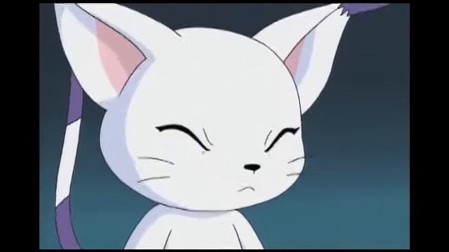 Youtube Poop: Gatomon Gets Triggered смотреть онлайн