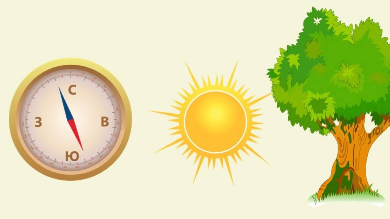 Темы в схемах