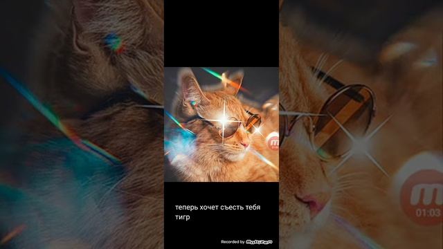 Симба тигр смотреть онлайн
