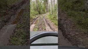 Вездеход-каракат Аврора в лесу