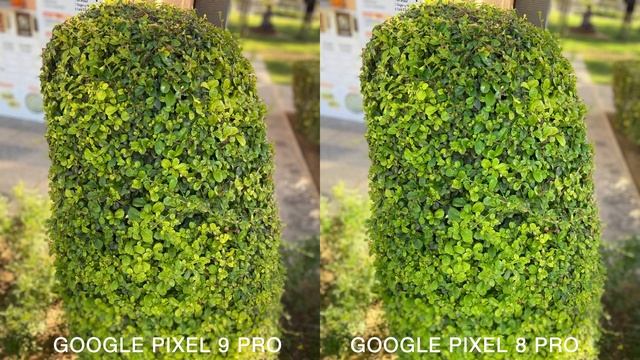 Google Pixel 9 Pro VS Google Pixel 8 Pro Camera Comparison смотреть онлайн