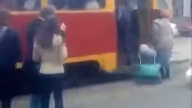 Бабушка с верным гусем возле ЗНТУ смотреть онлайн