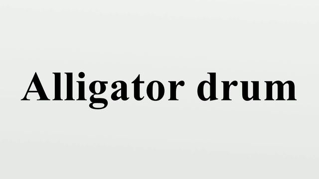 Alligator drum смотреть онлайн