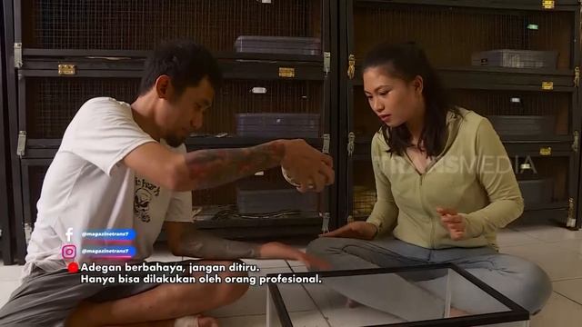 PETERNAK ULAR RAKSASA | BERANI COBA (11/06/22) Part 2 смотреть онлайн