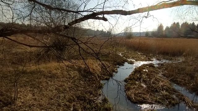 Слепой дождь смотреть онлайн