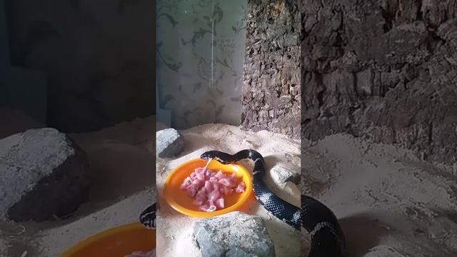 Кушаем смотреть онлайн