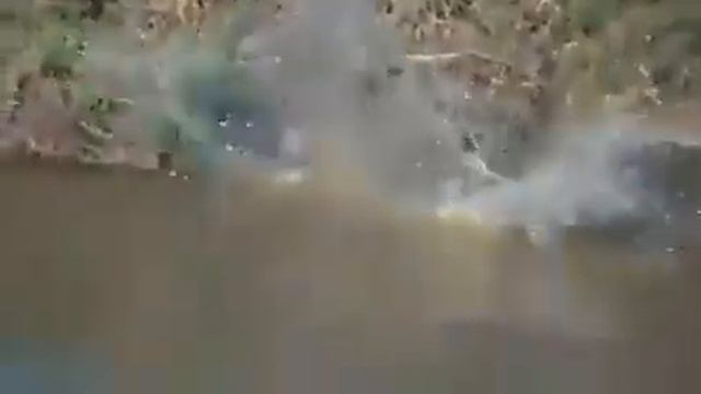 Real king смотреть онлайн