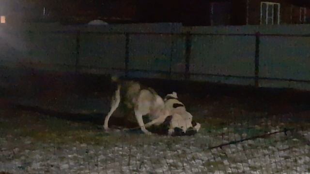 ночные игры смотреть онлайн