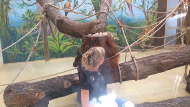 Зоопарк "XII месяцев" смотреть онлайн