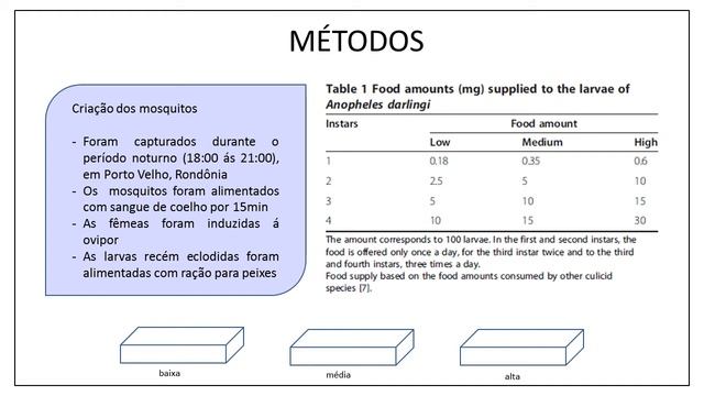 Seminário LabFisi:Efeito de diferentes quantidades de comida oferecida às larvas-Lidiane Mar/21 смотреть онлайн