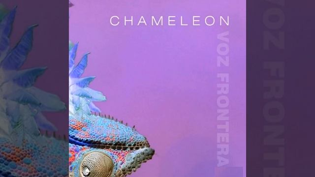 Chameleon смотреть онлайн