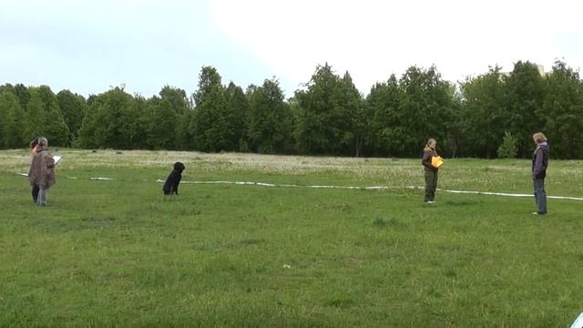Наташа и Буч. Комплекс. Псков . Соревнования по Обидиес 31.05.2015 смотреть онлайн