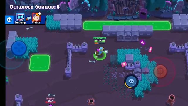 Купил скин индиго тара смотреть онлайн