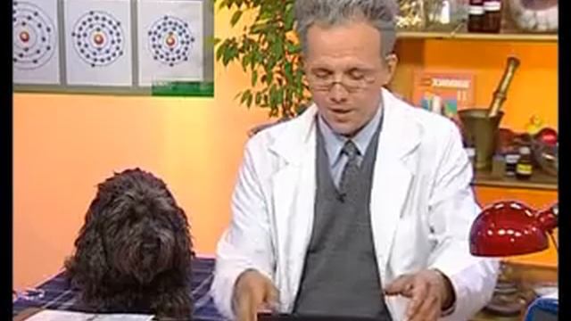 Академия занимательных наук - Химия. серия 13 смотреть онлайн