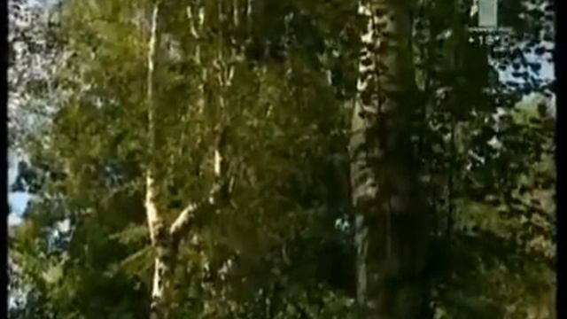 Iran and Tajikistan فرهنگ تاجیکی ایرانی смотреть онлайн