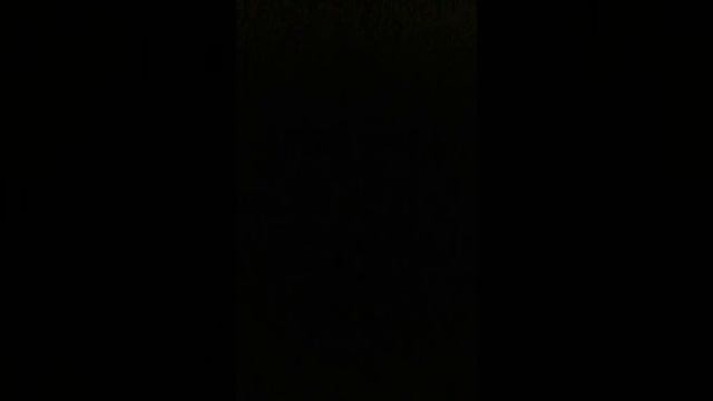 Xxx Lil Mongo xxX Team Ypsi смотреть онлайн